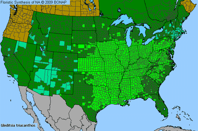 Allergies By County Map For Honey-Locust