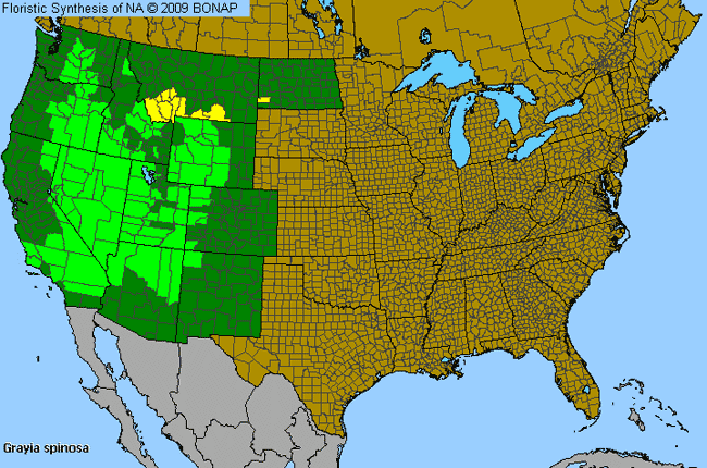 Allergies By County Map For Spiny Hop-Sage