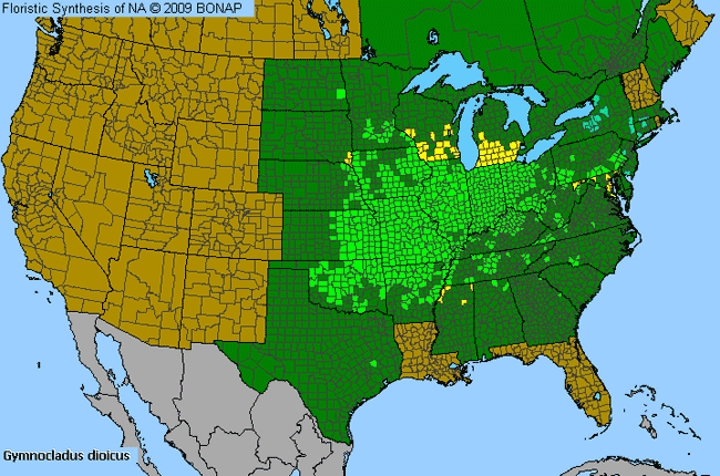 Allergies By County Map For Kentucky Coffeetree