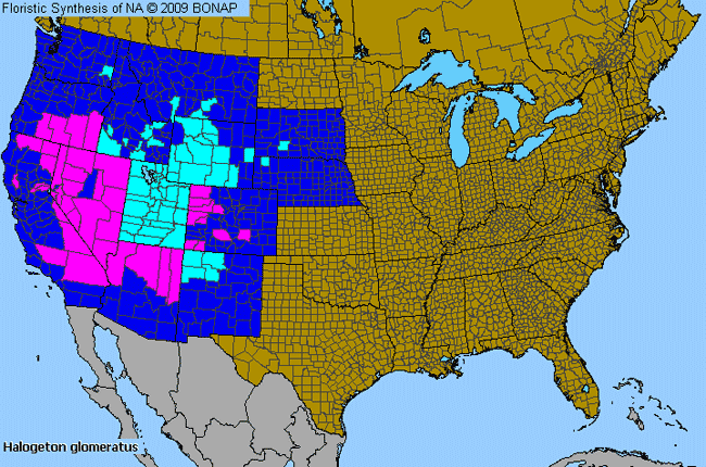 Allergies By County Map For Saltlover