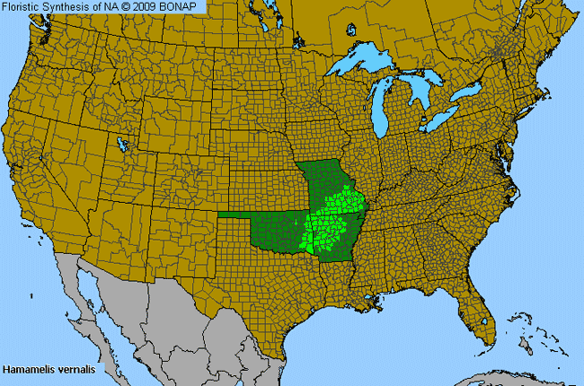 Allergies By County Map For Ozark Witch-Hazel