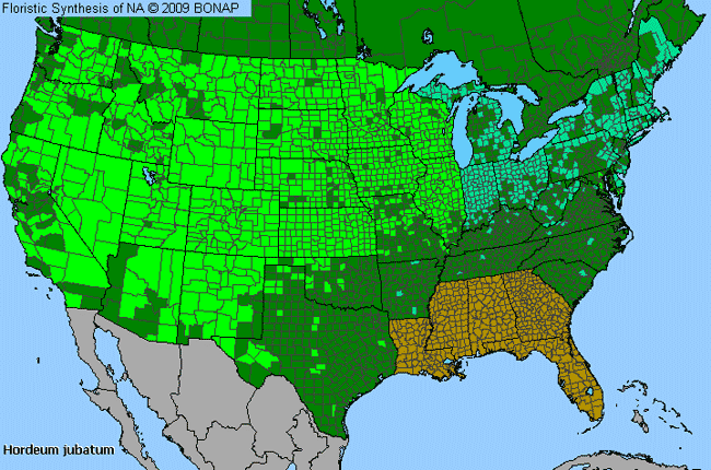 Allergies By County Map For Fox-Tail Barley