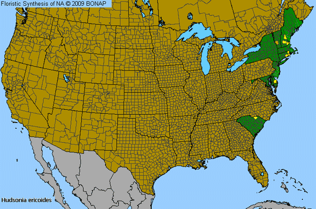 Allergies By County Map For Pine-Barren Golden-Heather