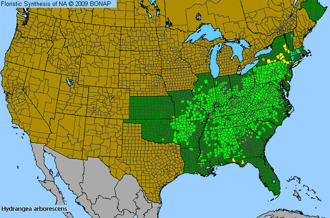 Allergies By County Map For Wild Hydrangea