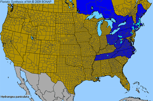 Allergies By County Map For Panicled Hydrangea