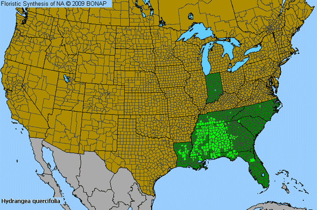 Allergies By County Map For Oak-Leaf Hydrangea