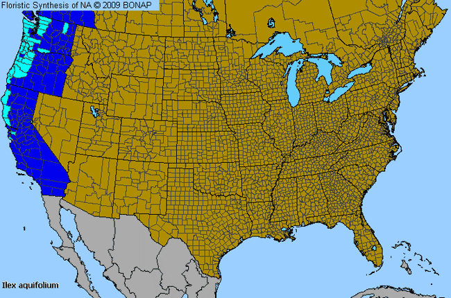 Allergies By County Map For English Holly