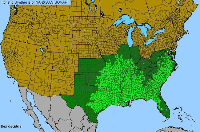 Allergies By County Map For Deciduous Holly