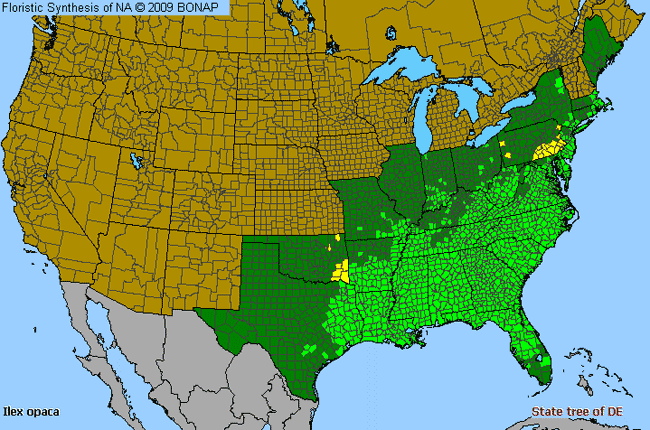 Allergies By County Map For American Holly