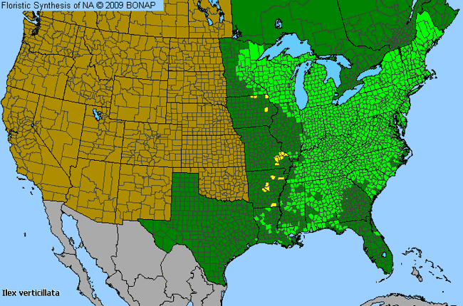 Allergies By County Map For Common Winterberry