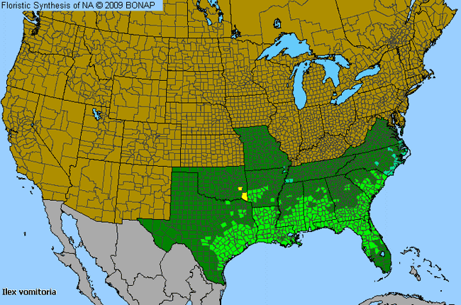 Allergies By County Map For Yaupon