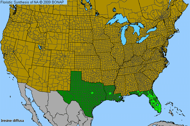 Allergies By County Map For Juba's-Bush