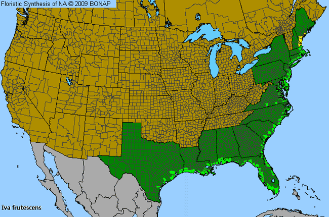 Allergies By County Map For Jesuit's-Bark