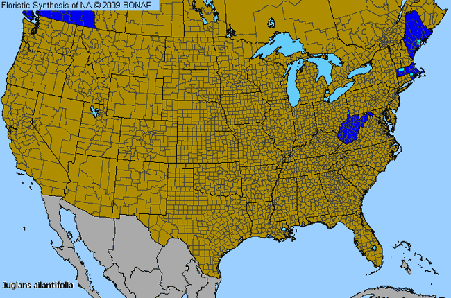 Allergies By County Map For Japanese Walnut