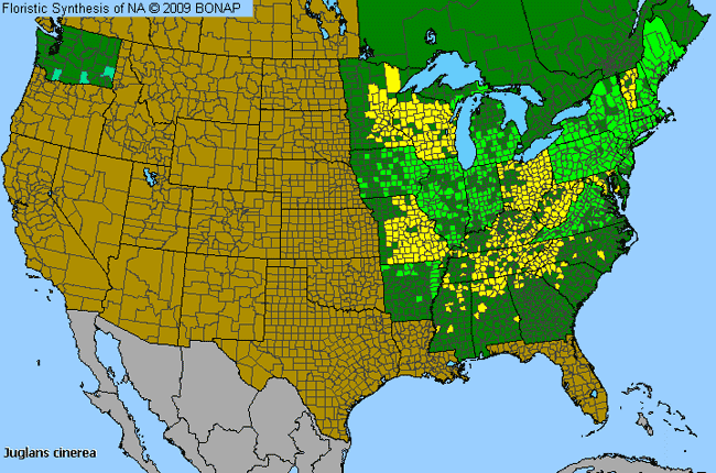 Allergies By County Map For White Walnut