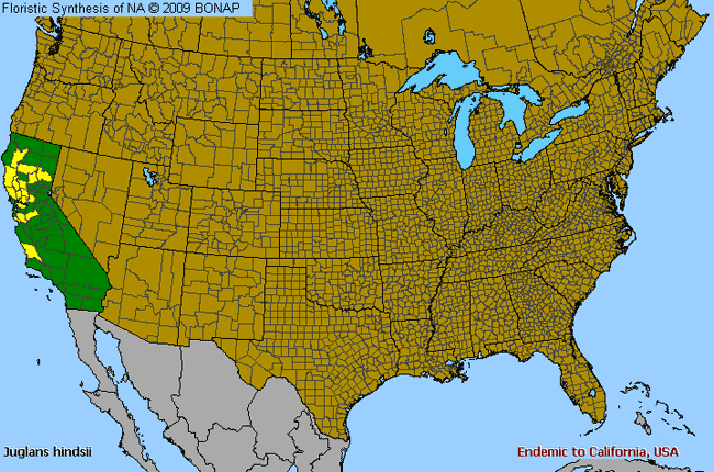 Allergies By County Map For Hind's Walnut