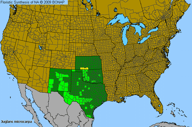 Allergies By County Map For Little Walnut