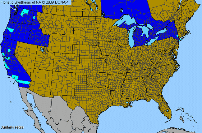 Allergies By County Map For English Walnut