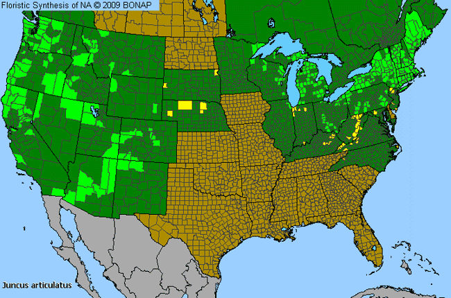 Allergies By County Map For Joint-Leaf Rush