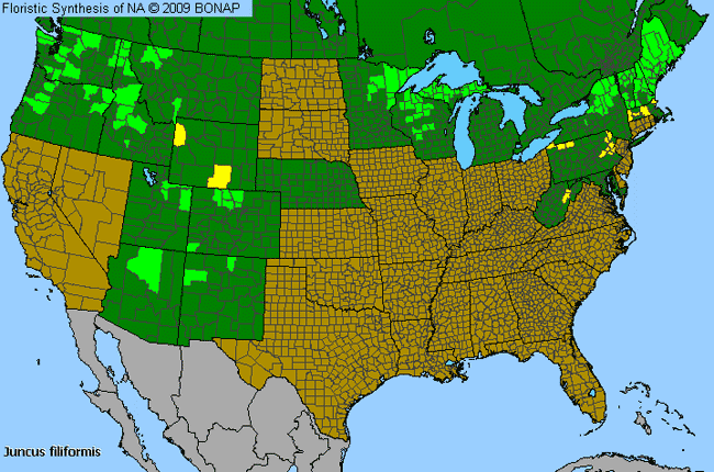 Allergies By County Map For Thread Rush