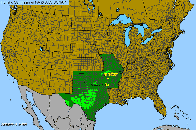 Allergies By County Map For Ashe's Juniper