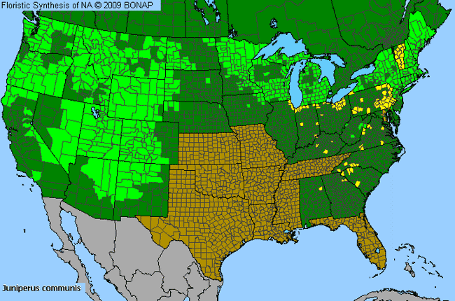 Allergies By County Map For Common Juniper