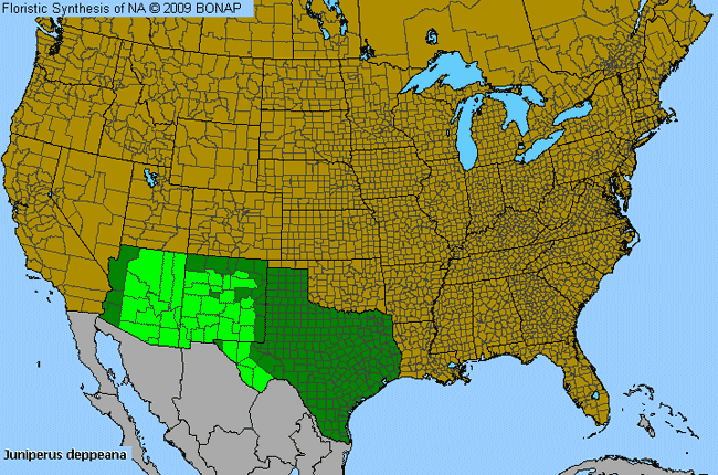 Allergies By County Map For Alligator Juniper