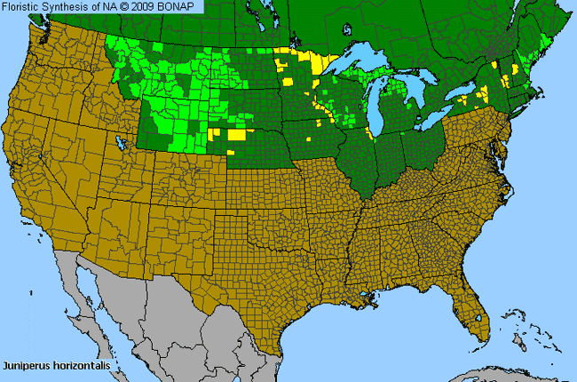 Allergies By County Map For Creeping Juniper