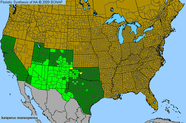 Allergies By County Map For One-Seed Juniper