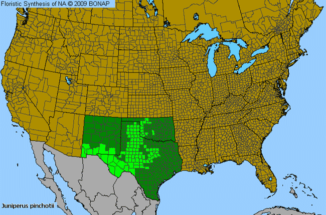 Allergies By County Map For Pinchot's Juniper