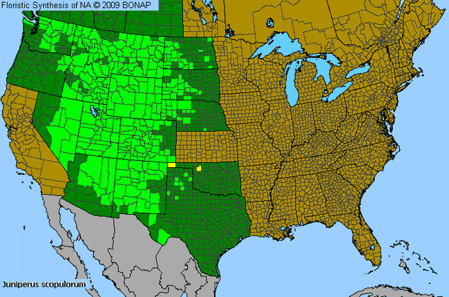 Allergies By County Map For Rocky Mountain Juniper