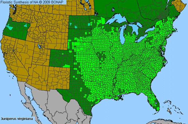 Allergies By County Map For Eastern Red-Cedar