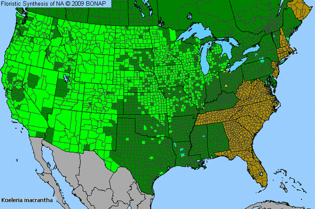 Allergies By County Map For Prairie Koeler's Grass