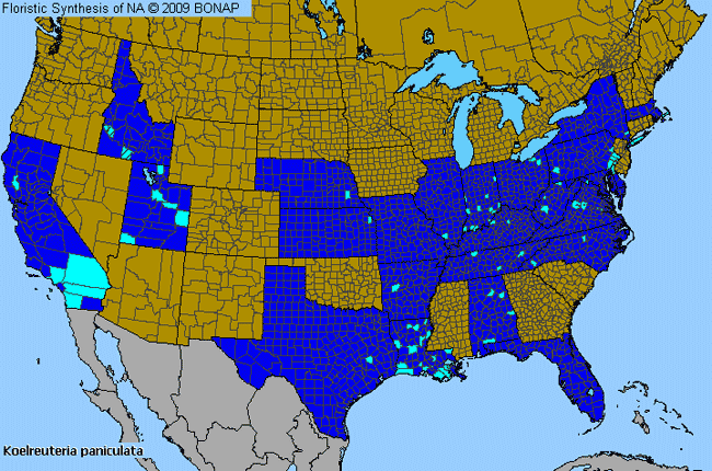 Allergies By County Map For Golden Rain-Tree