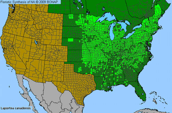 Allergies By County Map For Canadian Wood-Nettle