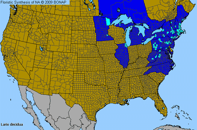 Allergies By County Map For European Larch