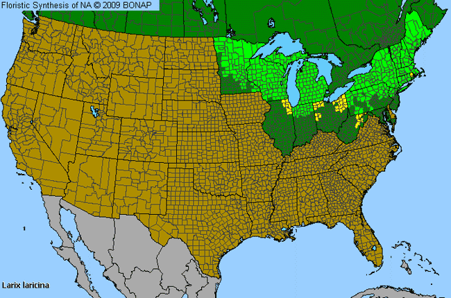 Allergies By County Map For American Larch