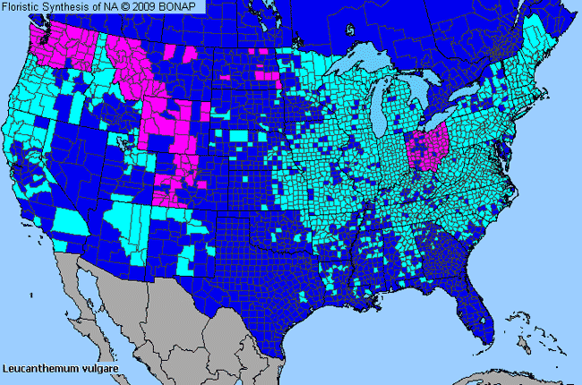 Allergies By County Map For Ox-Eye Daisy