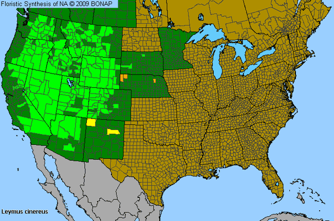 Allergies By County Map For Great Basin Lyme Grass