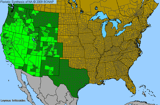 Allergies By County Map For Beardless Lyme Grass