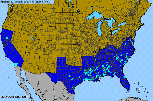 Allergies By County Map For Japanese Privet