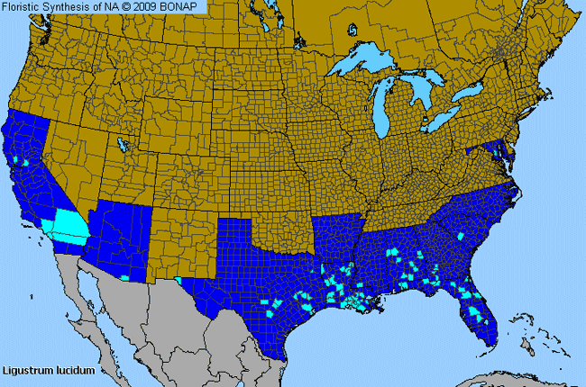 Allergies By County Map For Glossy Privet