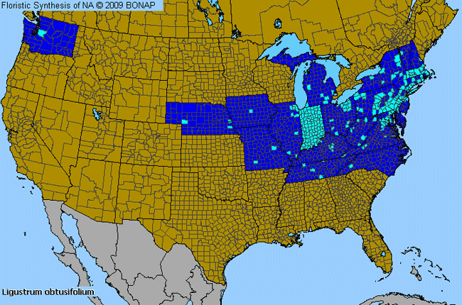 Allergies By County Map For Border Privet