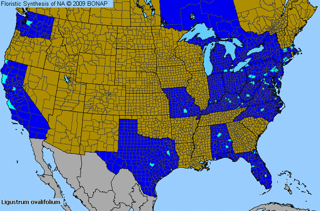 Allergies By County Map For California Privet