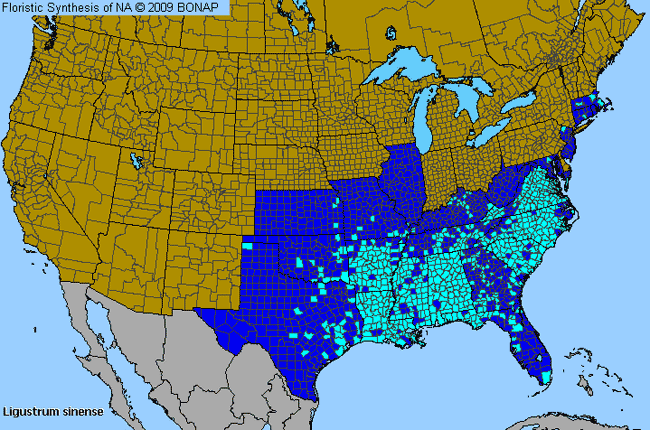 Allergies By County Map For Chinese Privet