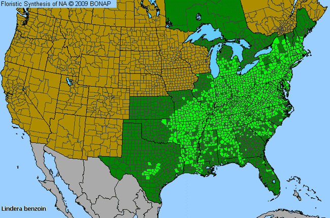 Allergies By County Map For Northern Spicebush