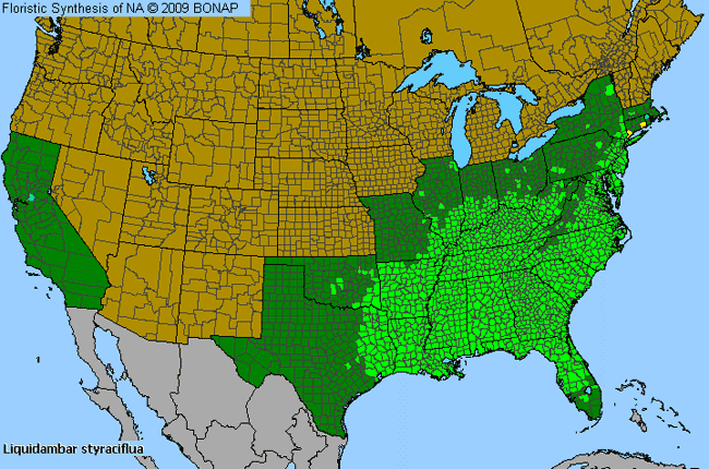 Allergies By County Map For Sweet-Gum