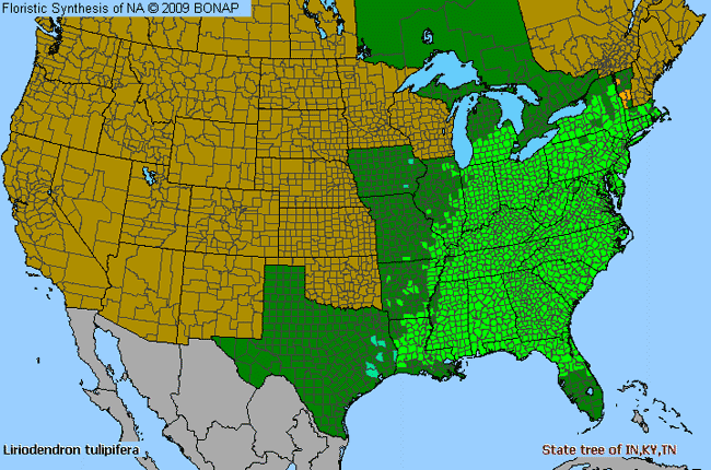 Allergies By County Map For Tuliptree