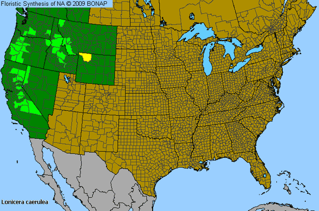 Allergies By County Map For Sweet-Berry Honeysuckle