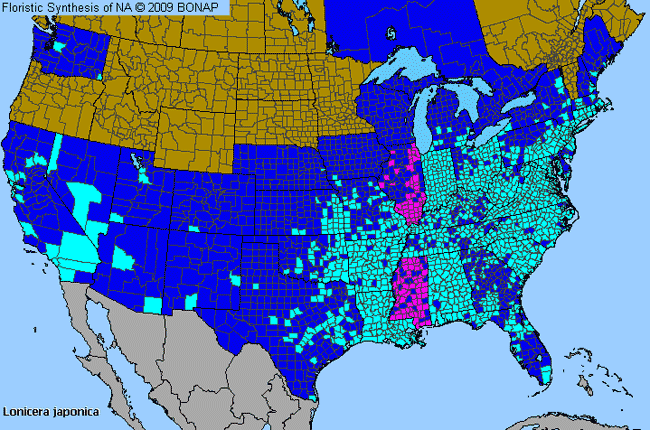 Allergies By County Map For Japanese Honeysuckle